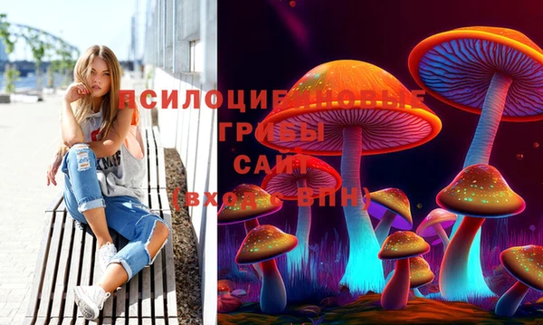 МДПВ Покров