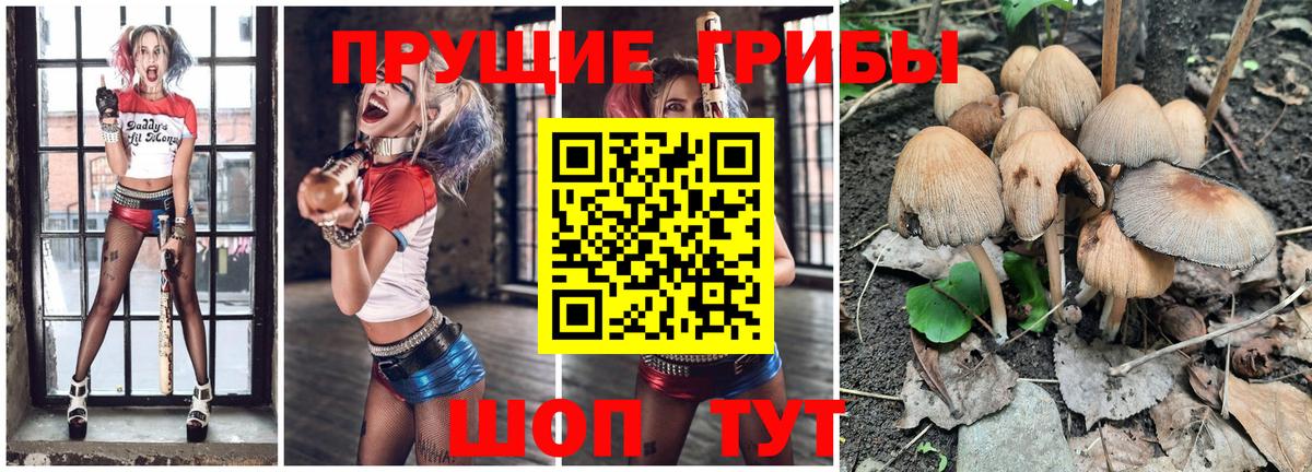 Псилоцибиновые грибы GOLDEN TEACHER Югорск