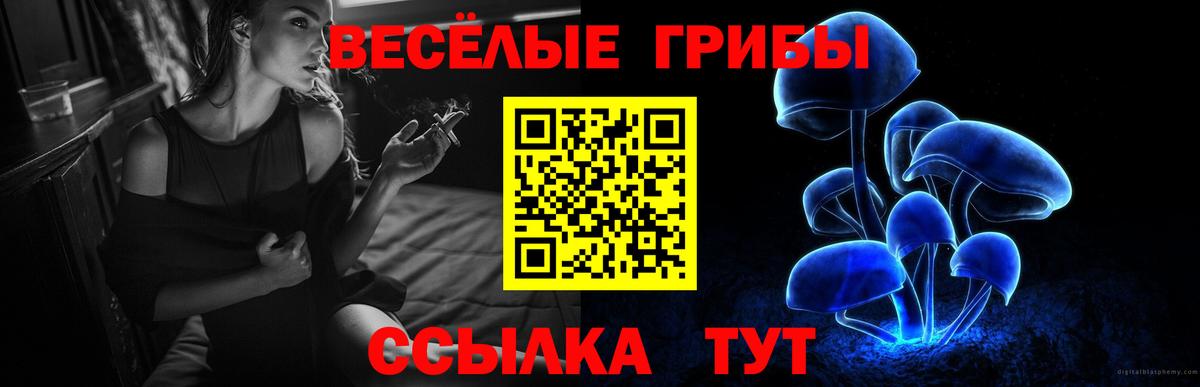 Югорск  Галлюциногенные грибы Psilocybine cubensis  Вход с VPN  Псилоцибиновые грибы GOLDEN TEACHER 